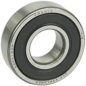 6204RS